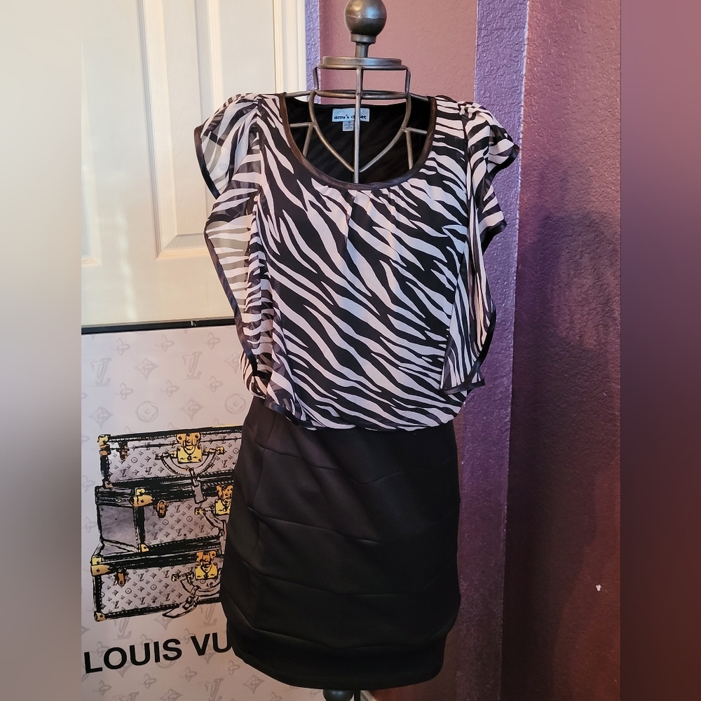 Amy's Closet Zebra Dress